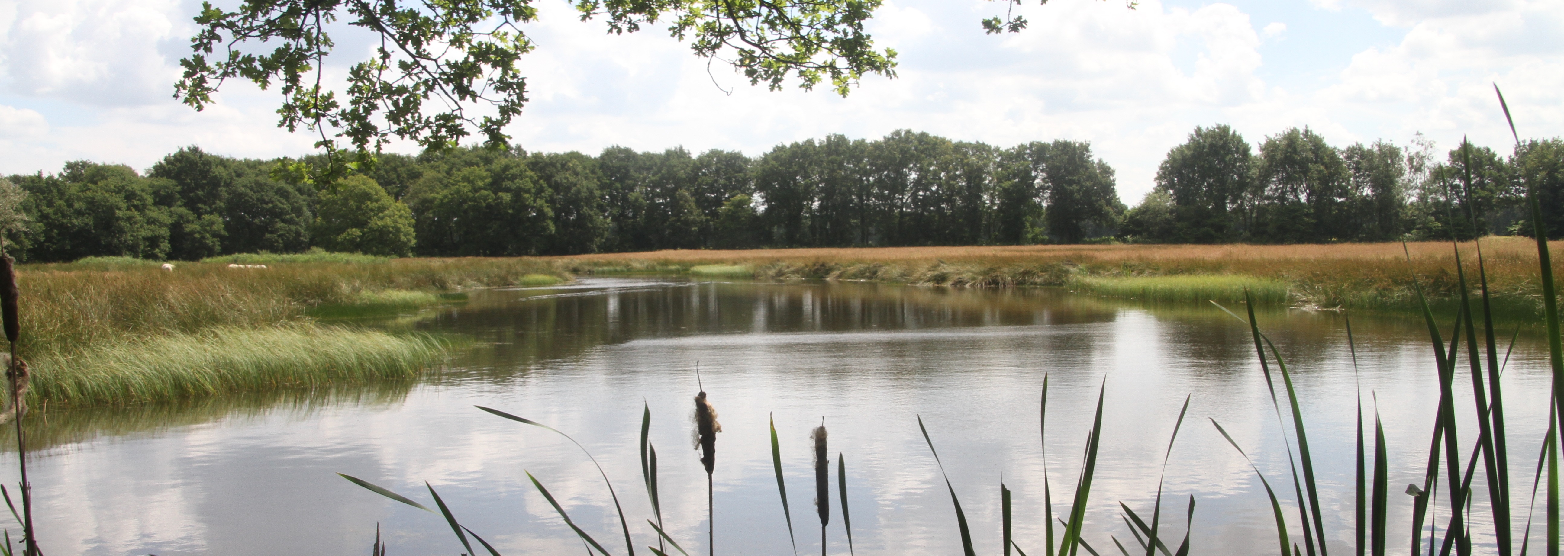 Haverkampsveen 1 panorama